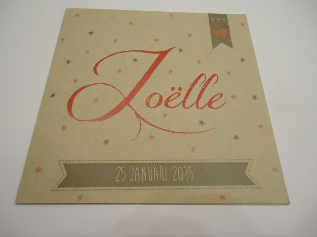 Joelle 25-01-2015 Z…