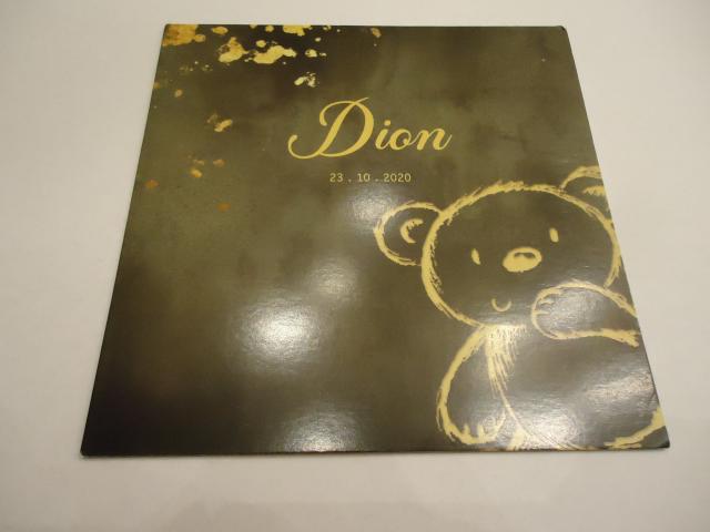 Dion 23-10-2020 Ste…