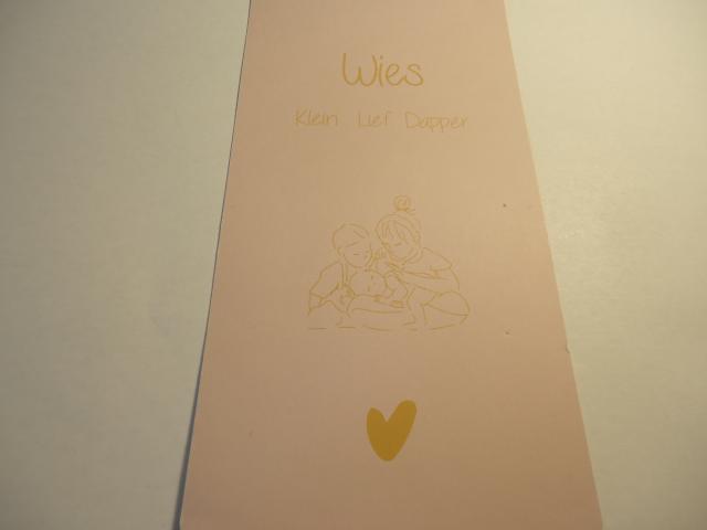 Wies 25-01-2023 Vli…