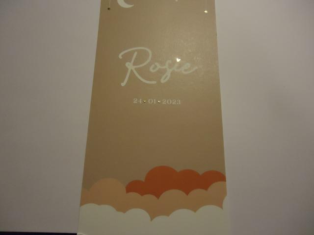 Rosie 24-01-2023 Pa…