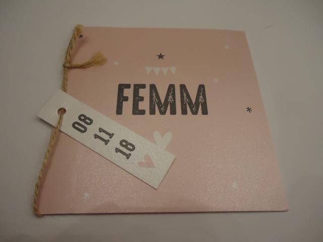 Femm 08-11-2018 Ass…